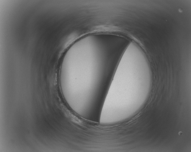 X0000081411459200701120905