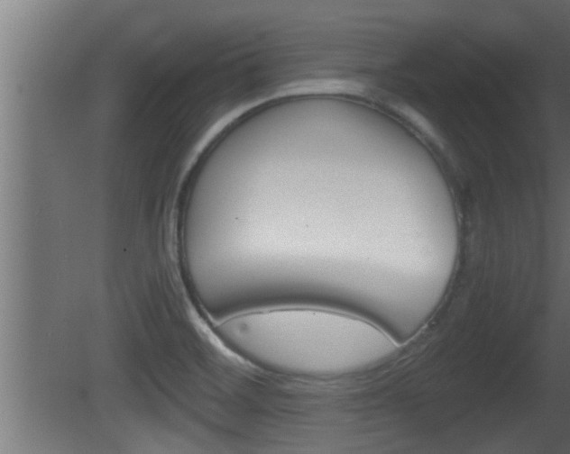 X0000081411468200701120905