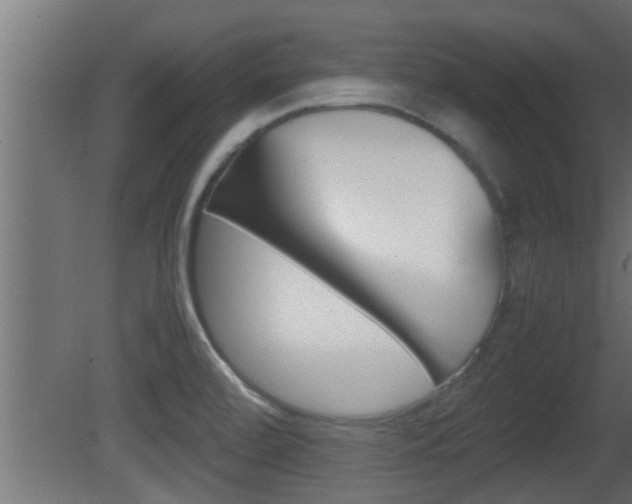 X0000081411472200701120905