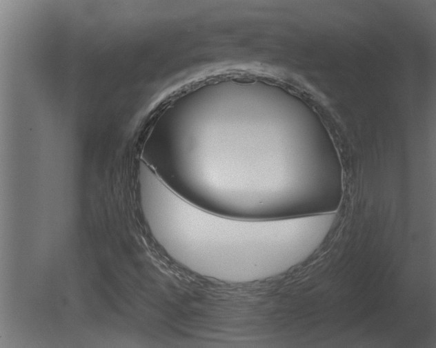 X0000081411496200701120904