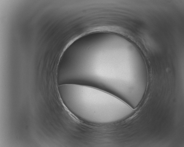 X0000081411529200701120904