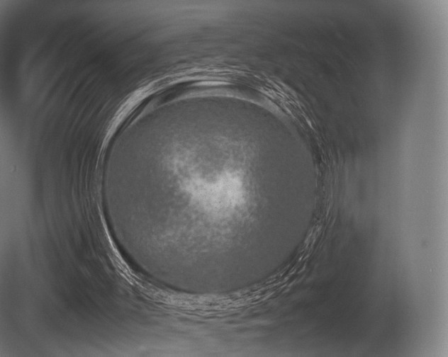 X0000081410003200701121221