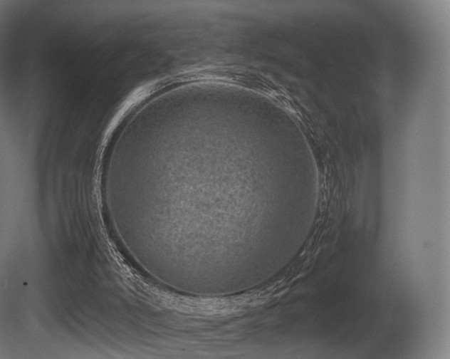 X0000081410006200701121221