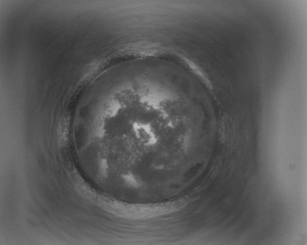 X0000081410018200701121221