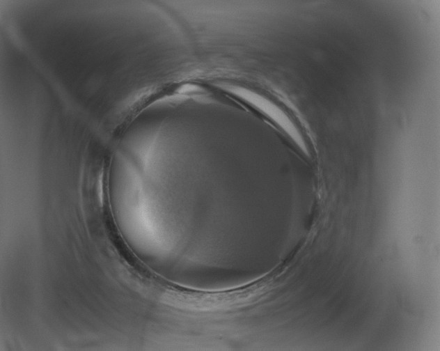 X0000081410019200701121221