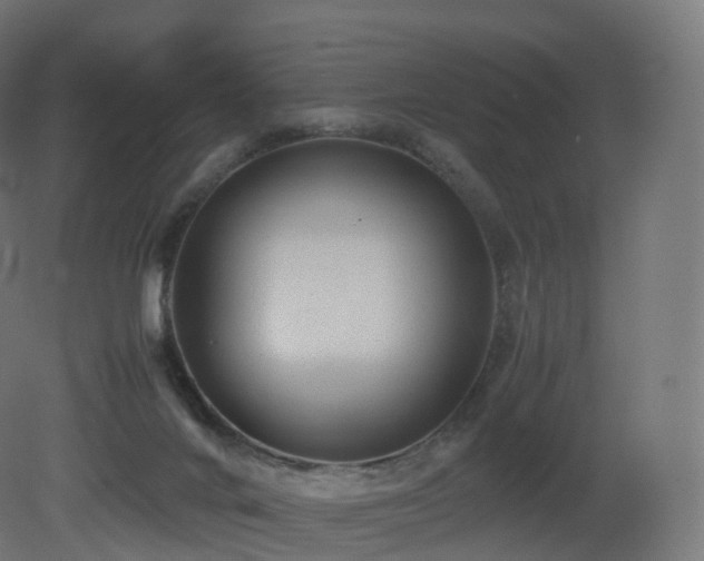 X0000081410024200701121221