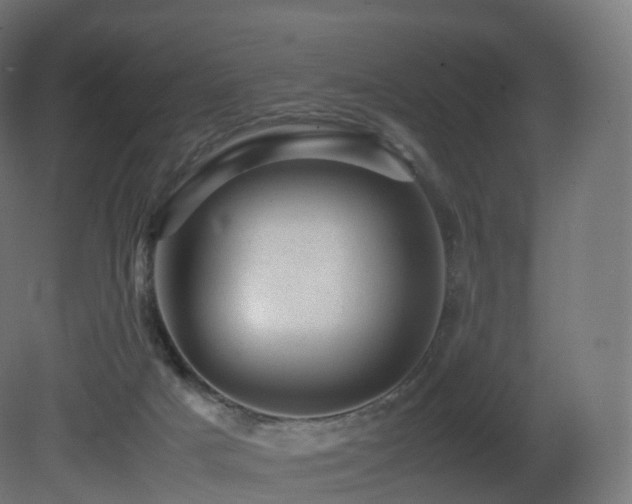 X0000081410025200701121221