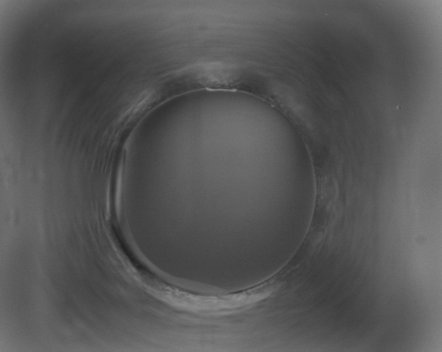 X0000081410027200701121221