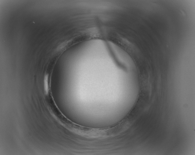 X0000081410028200701121221