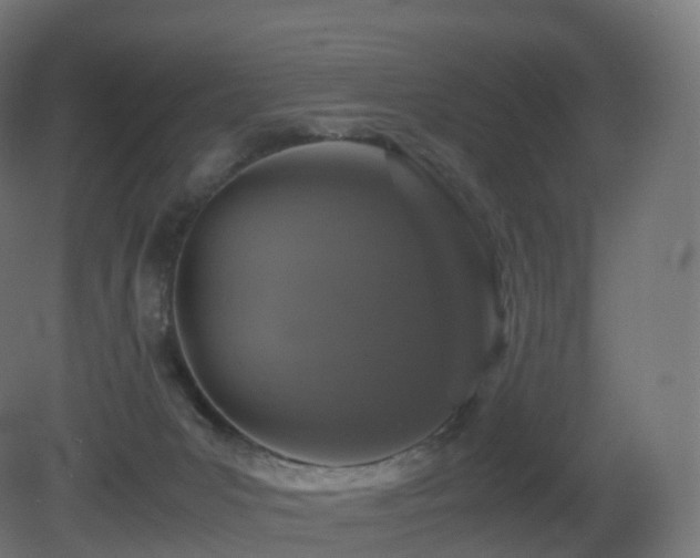 X0000081410031200701121221