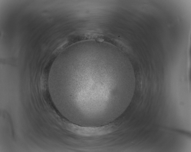 X0000081410034200701121221