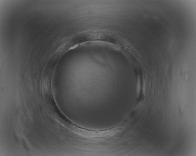 X0000081410035200701121221