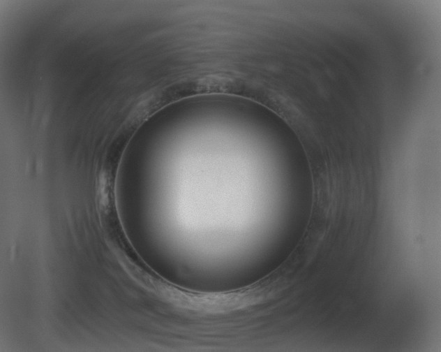 X0000081410038200701121221