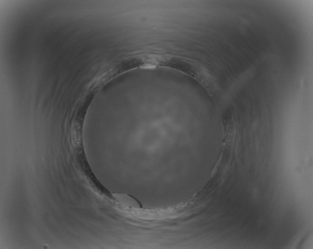 X0000081410043200701121221