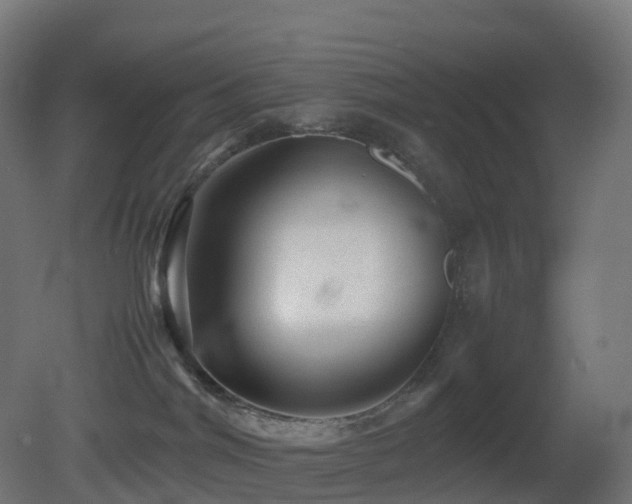 X0000081410044200701121220