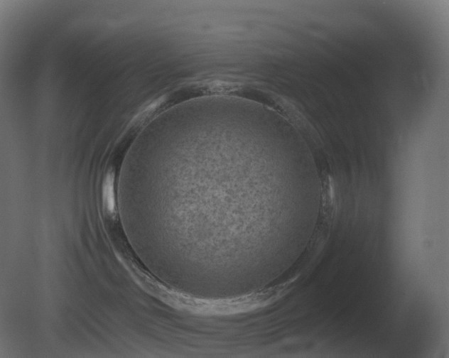 X0000081410046200701121220