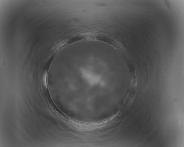 X0000081410047200701121220