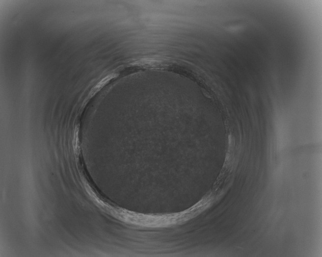 X0000081410048200701121220