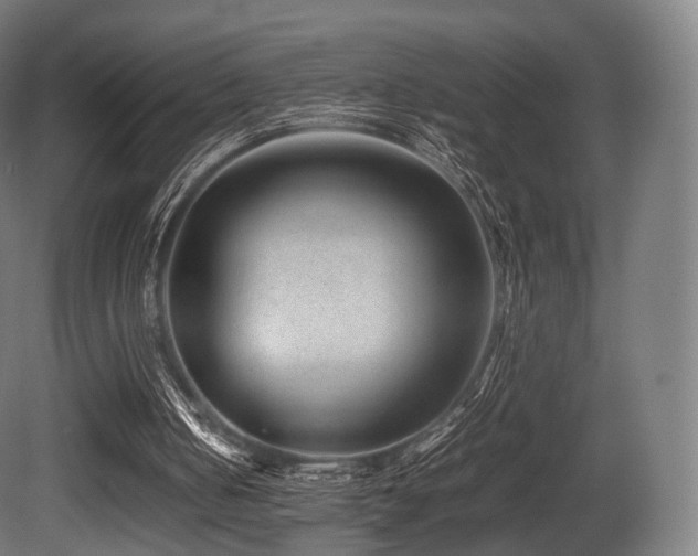 X0000081410050200701121220