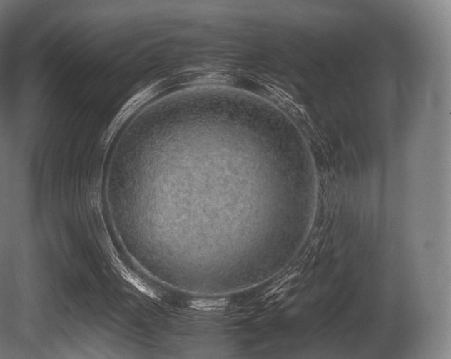 X0000081410051200701121220