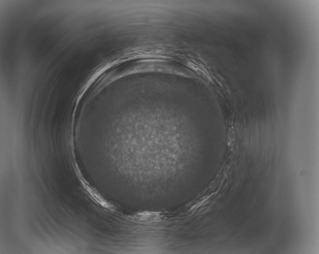 X0000081410052200701121220