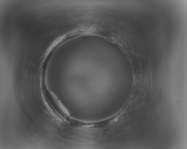 X0000081410054200701121220