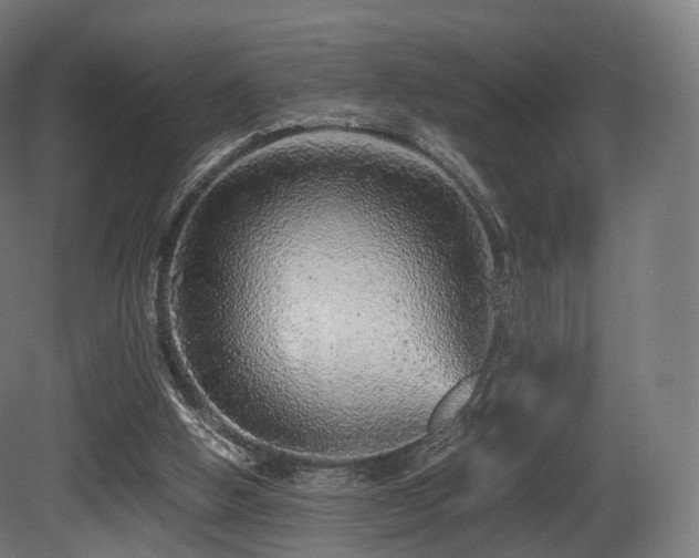 X0000081410058200701121220