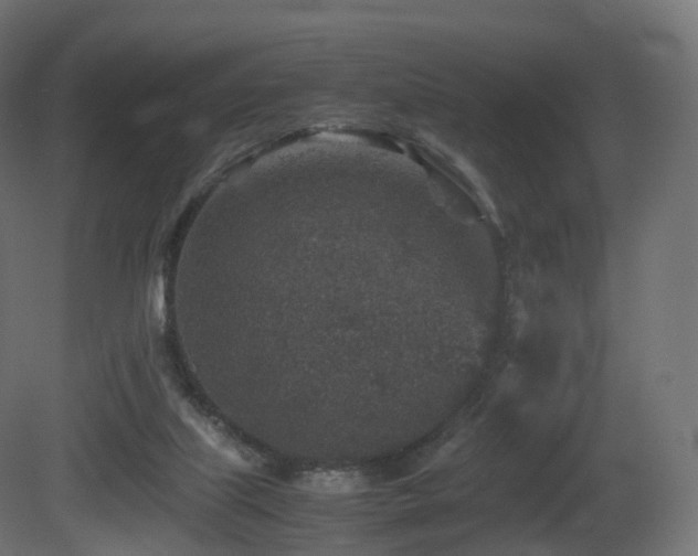 X0000081410067200701121220