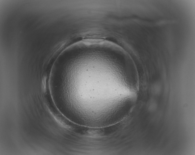 X0000081410070200701121220