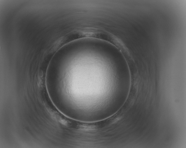 X0000081410073200701121220