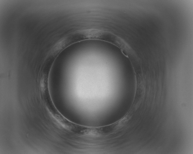 X0000081410074200701121220