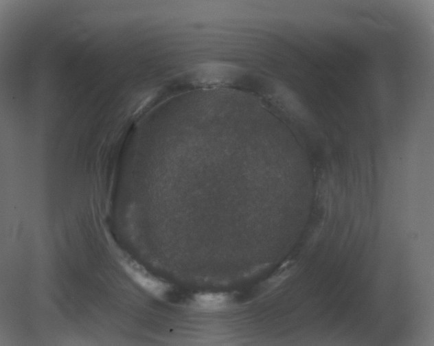 X0000081410076200701121220