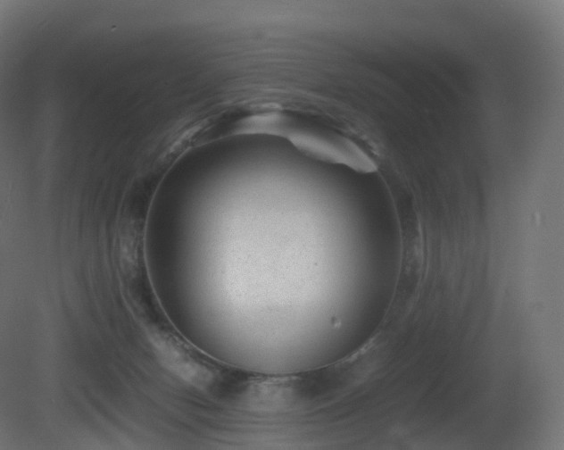 X0000081410078200701121220