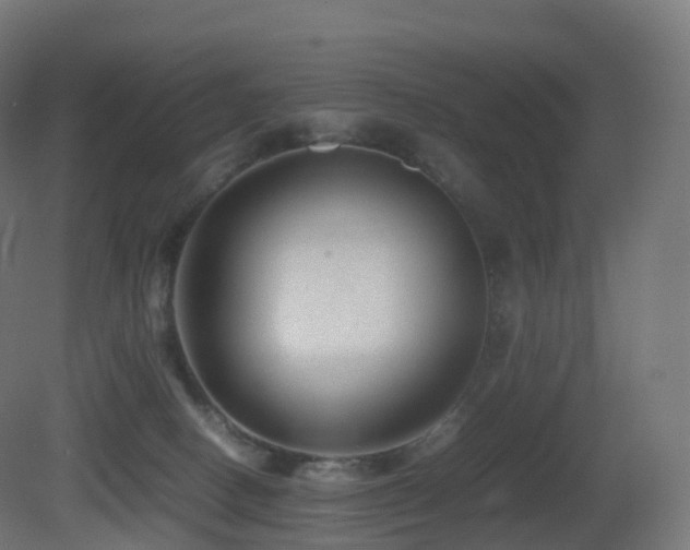 X0000081410082200701121220