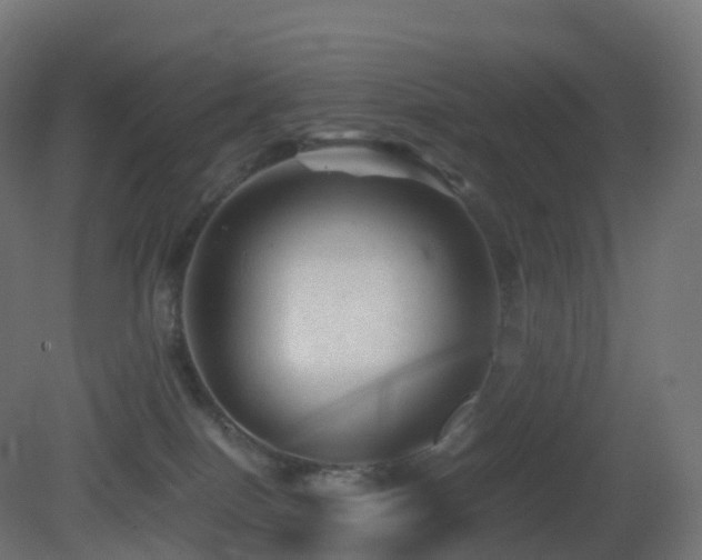 X0000081410086200701121220