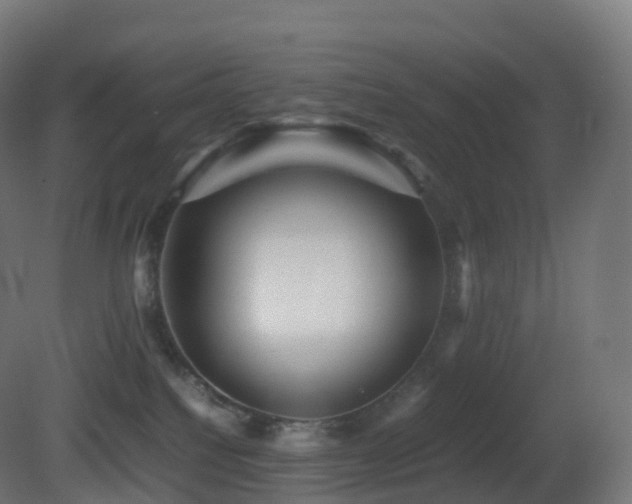 X0000081410088200701121220