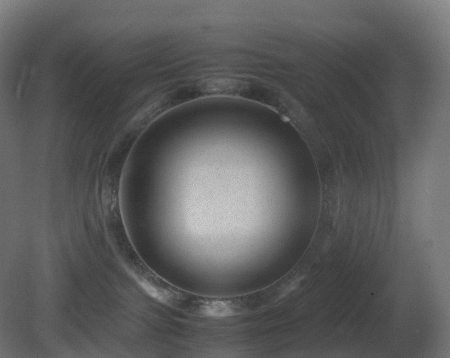 X0000081410091200701121220