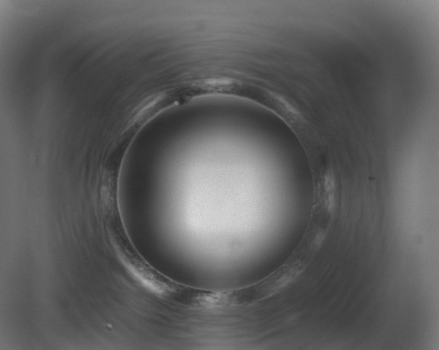 X0000081410092200701121220