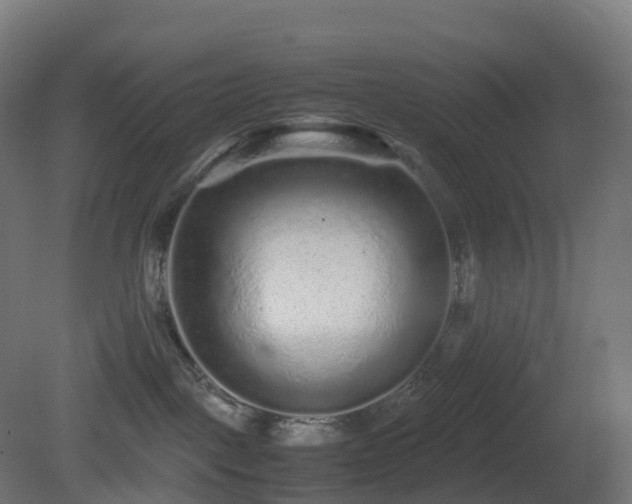 X0000081410093200701121220