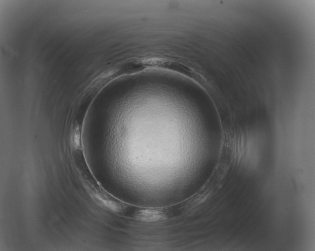 X0000081410095200701121220