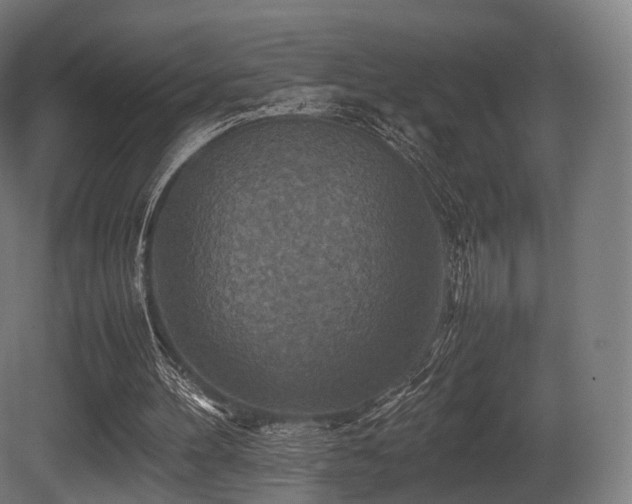 X0000081410100200701121220