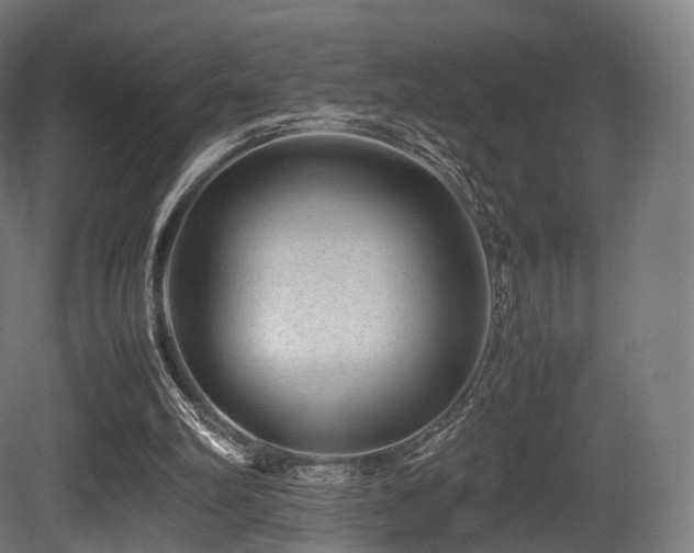 X0000081410102200701121220