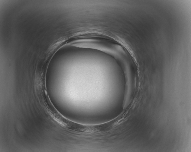 X0000081410105200701121219