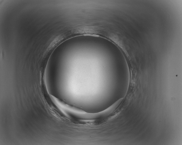 X0000081410109200701121219