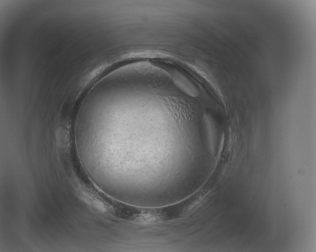 X0000081410111200701121219