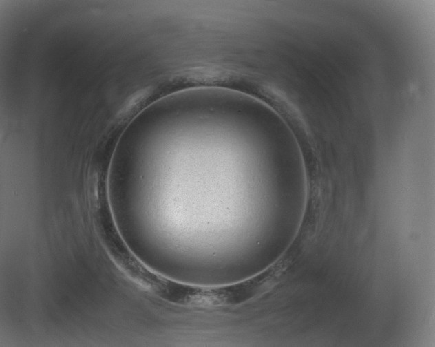 X0000081410115200701121219