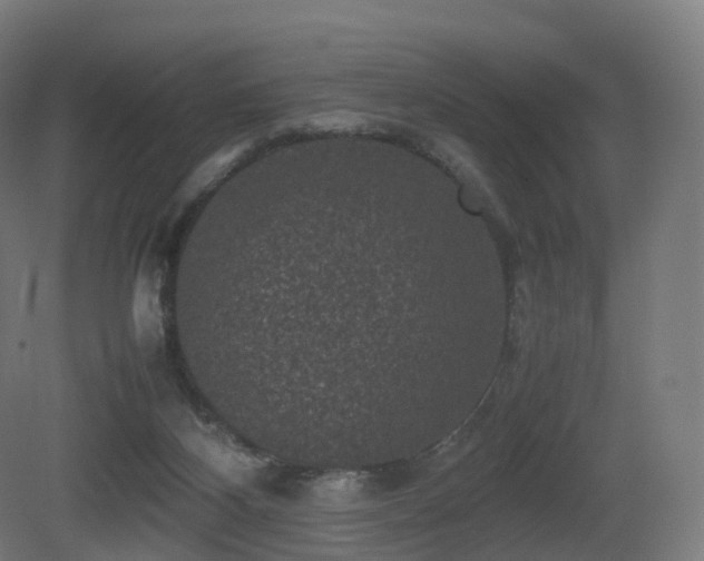 X0000081410116200701121219
