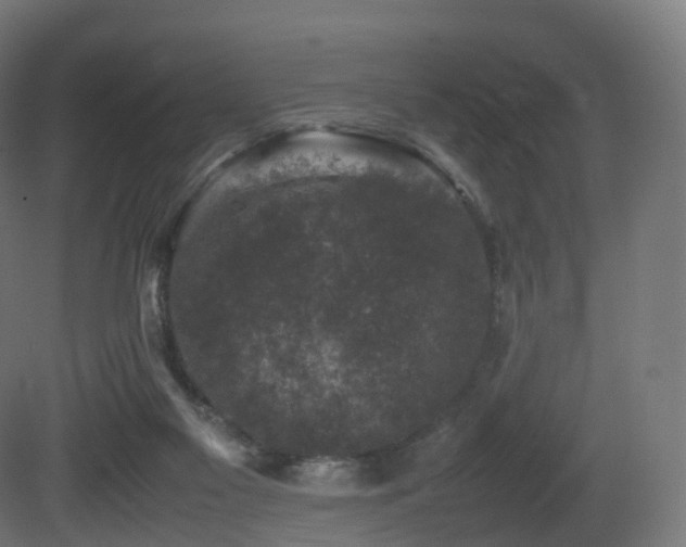 X0000081410117200701121219