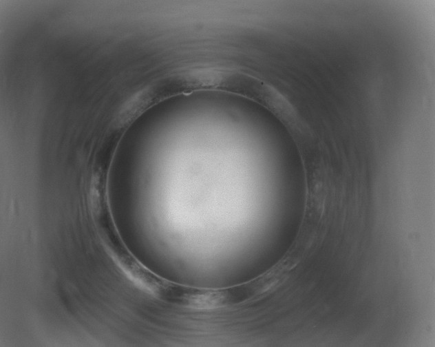 X0000081410122200701121219