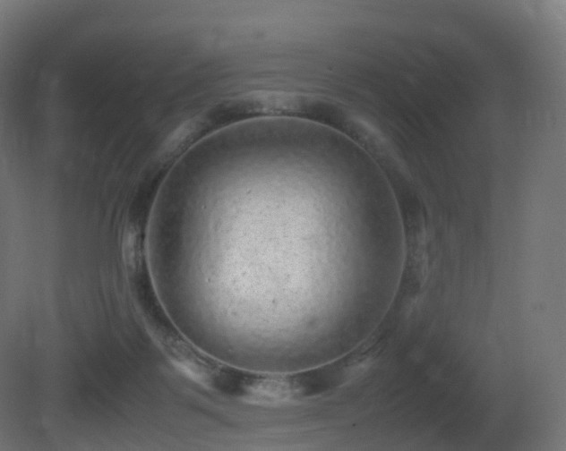 X0000081410123200701121219